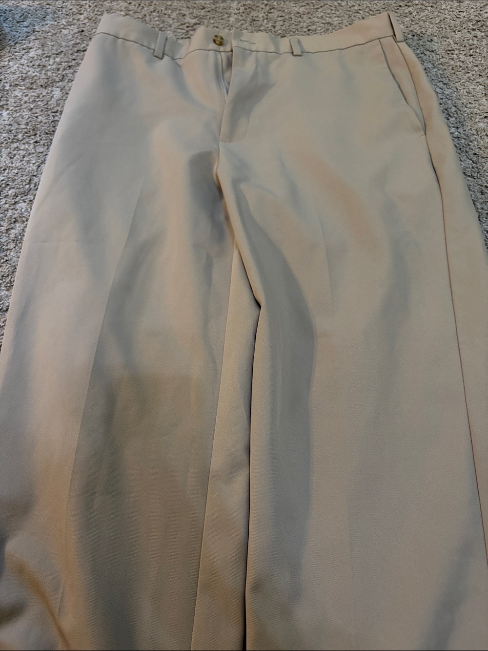Classic Men's Dress Pants in Beige